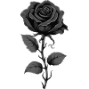 Black Rose Goth