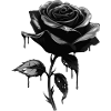 Black Rose Goth Gothic