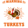 Turkey Saying