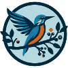 Eisvogel Vogel Alcedo Atthis