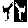 Karaté Tkd