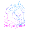 Cheval passion équitation