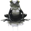 Stylized frog in close-up