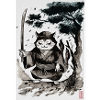 Neko Sensei