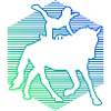 Vaulting Body Control Athletic Disciplines