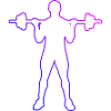 Haltérophilie, Cardio, Musculation, Entraînement d’endurance