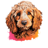 Caniche