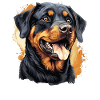 Rottweiler