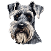 Schnauzer géant