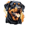 Rottweiler