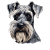 Schnauzer géant