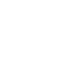 Scout