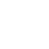 Scout