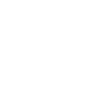 Scout