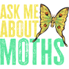 Moths Insect Collector Entomologist