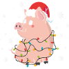 Cochon Noël