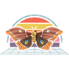 Moths Insect Collector Entomologist
