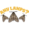 Moths Insect Collector Entomologist