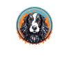 Hunde-Papa Hunderasse Englisch Springer-Spaniel