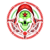Trippy Trip Skull