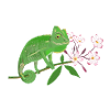 ChameleonDinA4