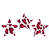 Leopard Star Print