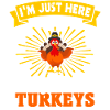 Turkey Thanksgiving