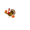 Turkey Thanksgiving