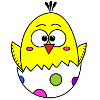 Chick