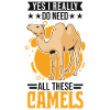 Camel Lover Egypt