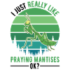 Gottesanbeterin Geschenk Mantis Fangschrecke