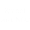 Kmoet Just Niks, Antwerps dialect shirts