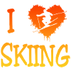 Skifahren Skiing