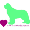 Love is a Newfoundland 012