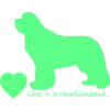 Love is a Newfoundland 009