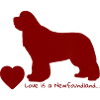 Love is a Newfoundland 015