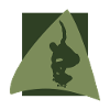 Skating Skateboarder