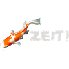 Koi zeit