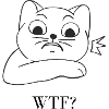WTF Cat | WTF Cat