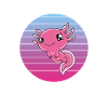 Axolotl drôle Axolotl mignon