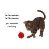 Weihnachtskatze