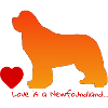 Love is a Newfoundland 018