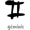 Gemini Zodiac
