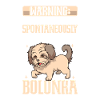 Bolonka Zwetna Lovers