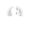 Je préfère jouer du saxophone