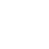 Violon