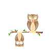 Eul Doch