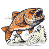 Angler Edition