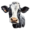 Cow's Head