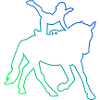 Athletic Discipline Equestrian Art Vaulting